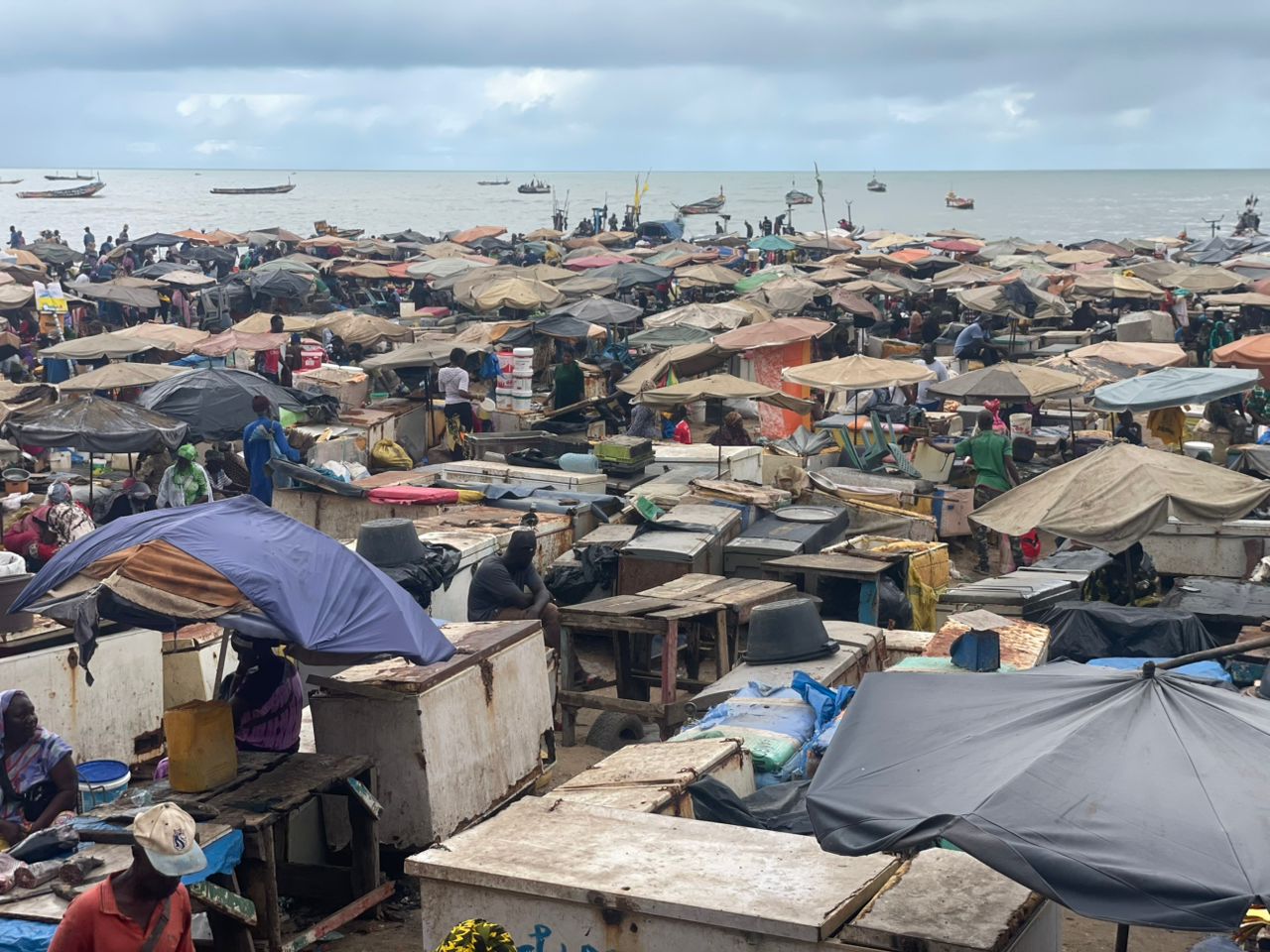 Comingback of the fisherman