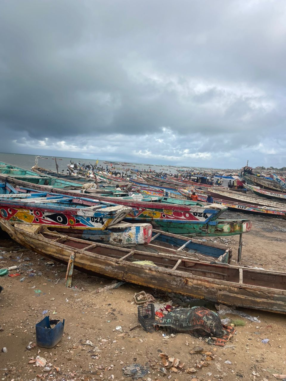 Comingback of the fisherman