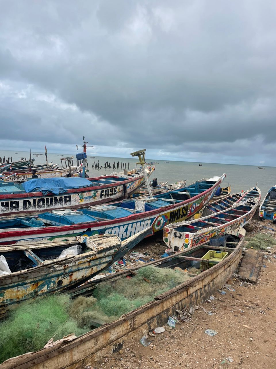 Comingback of the fisherman