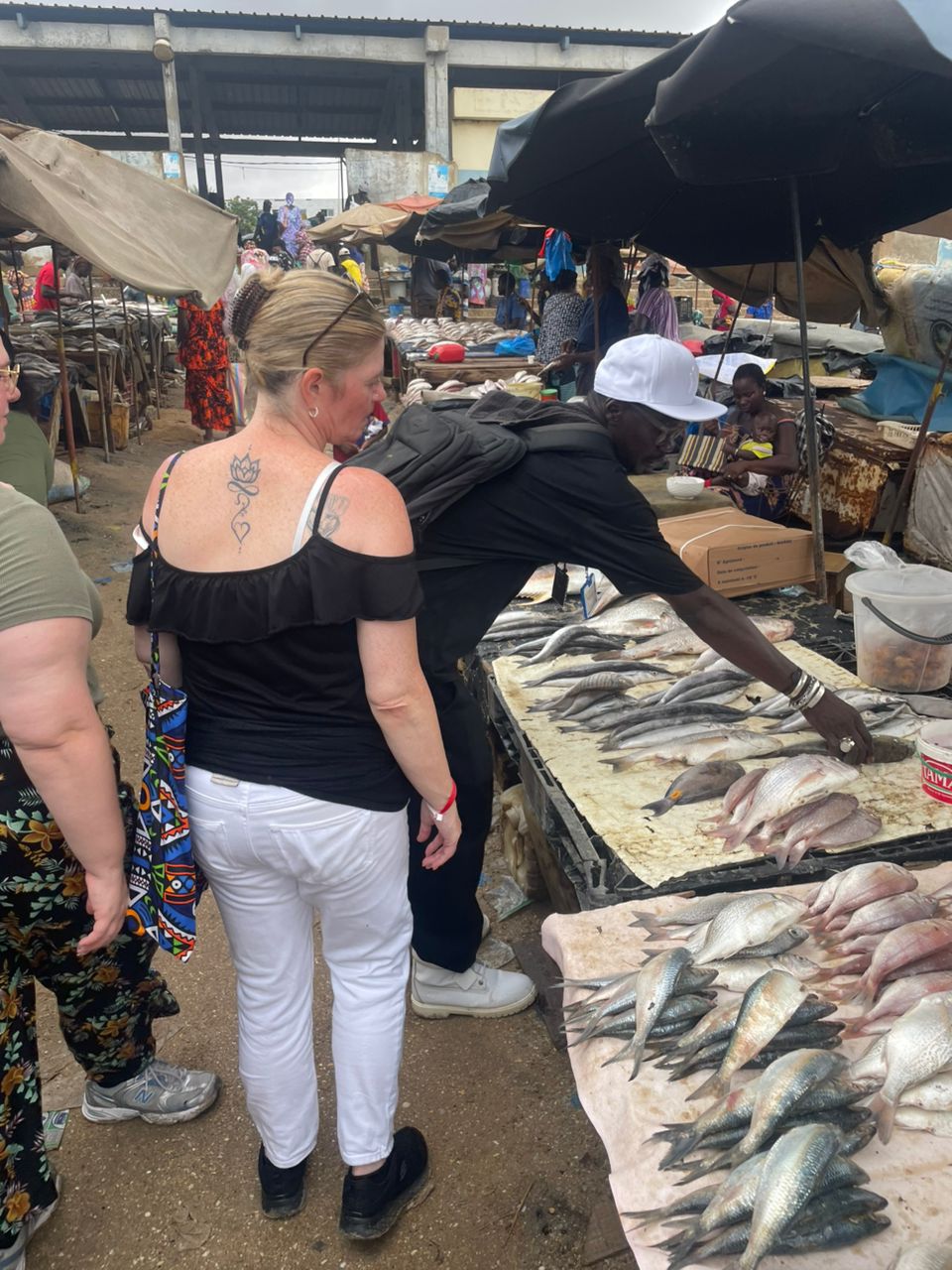 Comingback of the fisherman