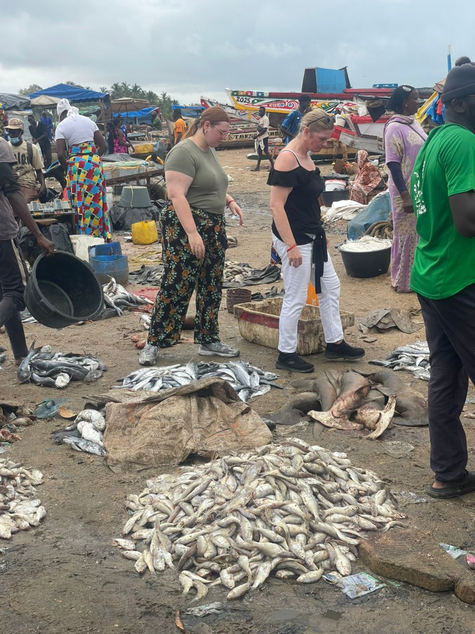 Comingback of the fisherman