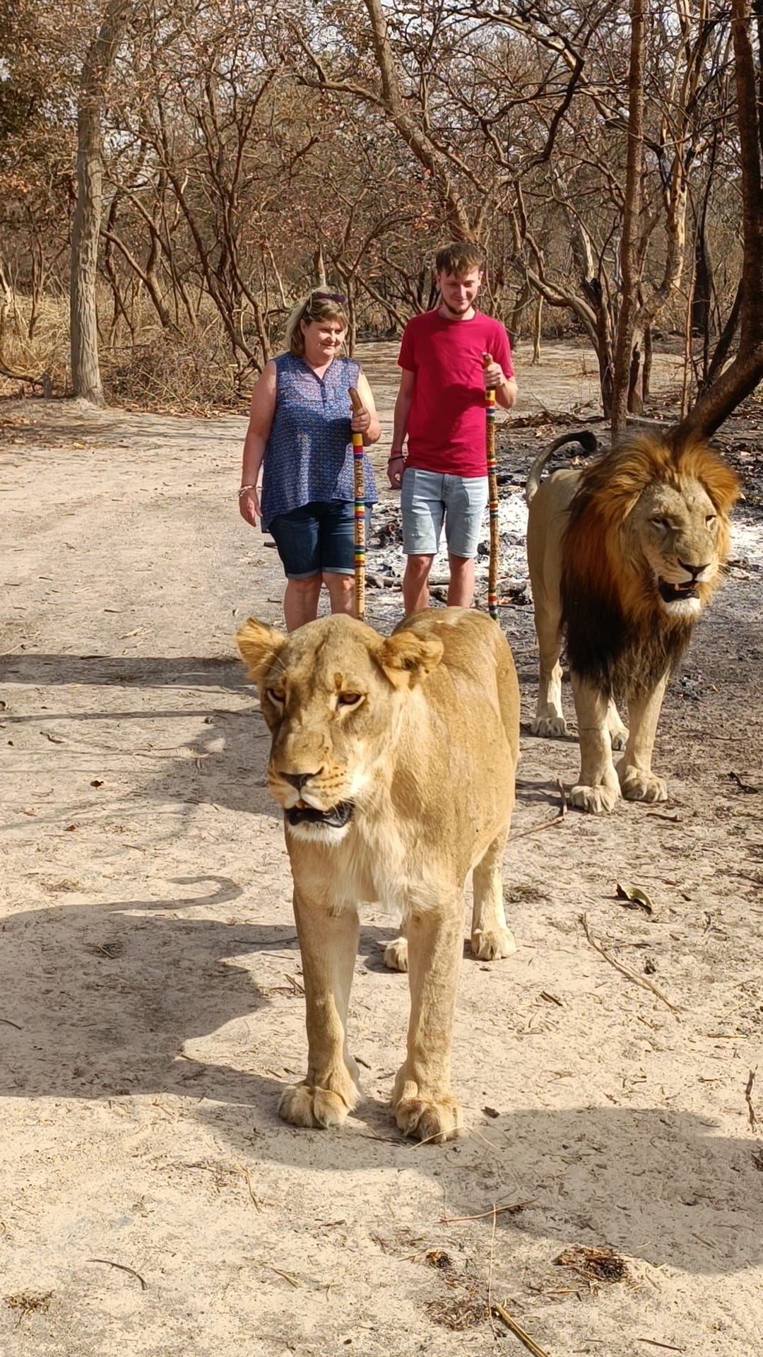 Fathala Wildlife Reserve