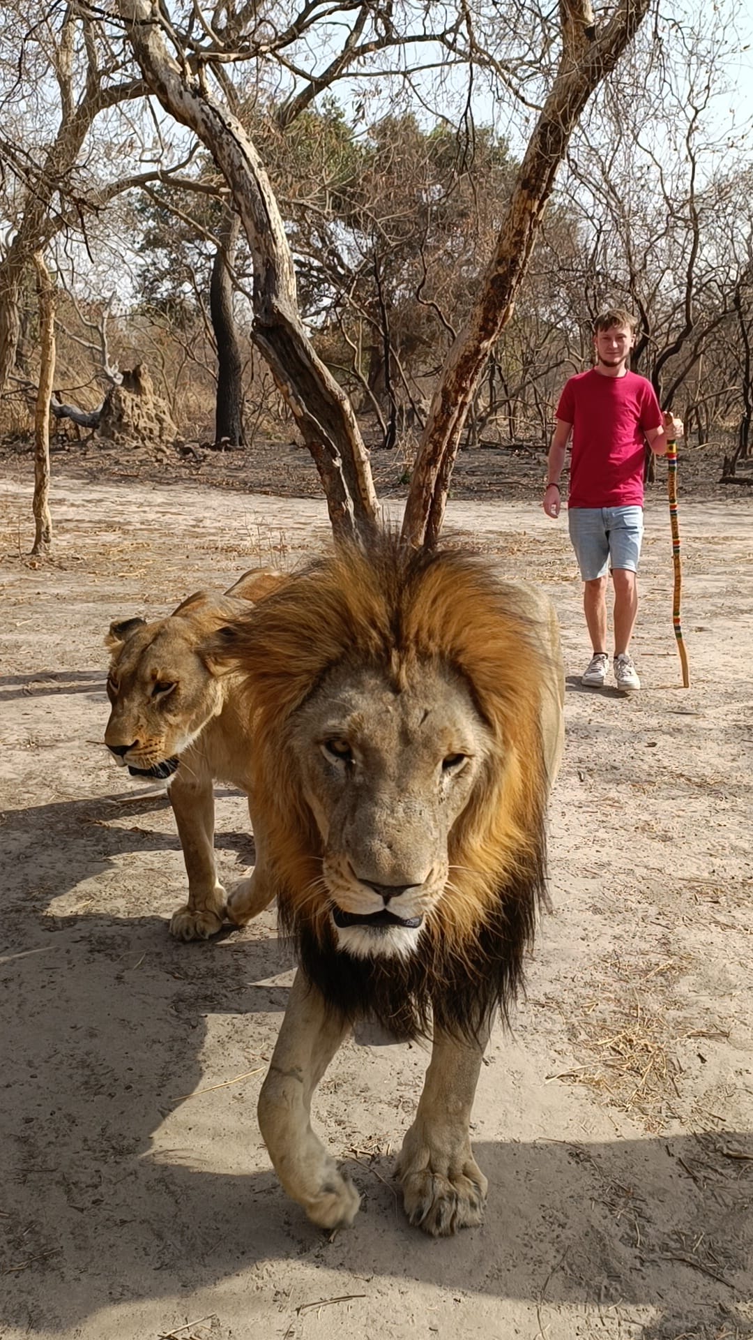 Fathala Wildlife Reserve