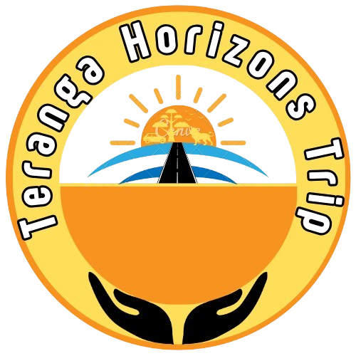 Teranga Horizons Trip Sénégal