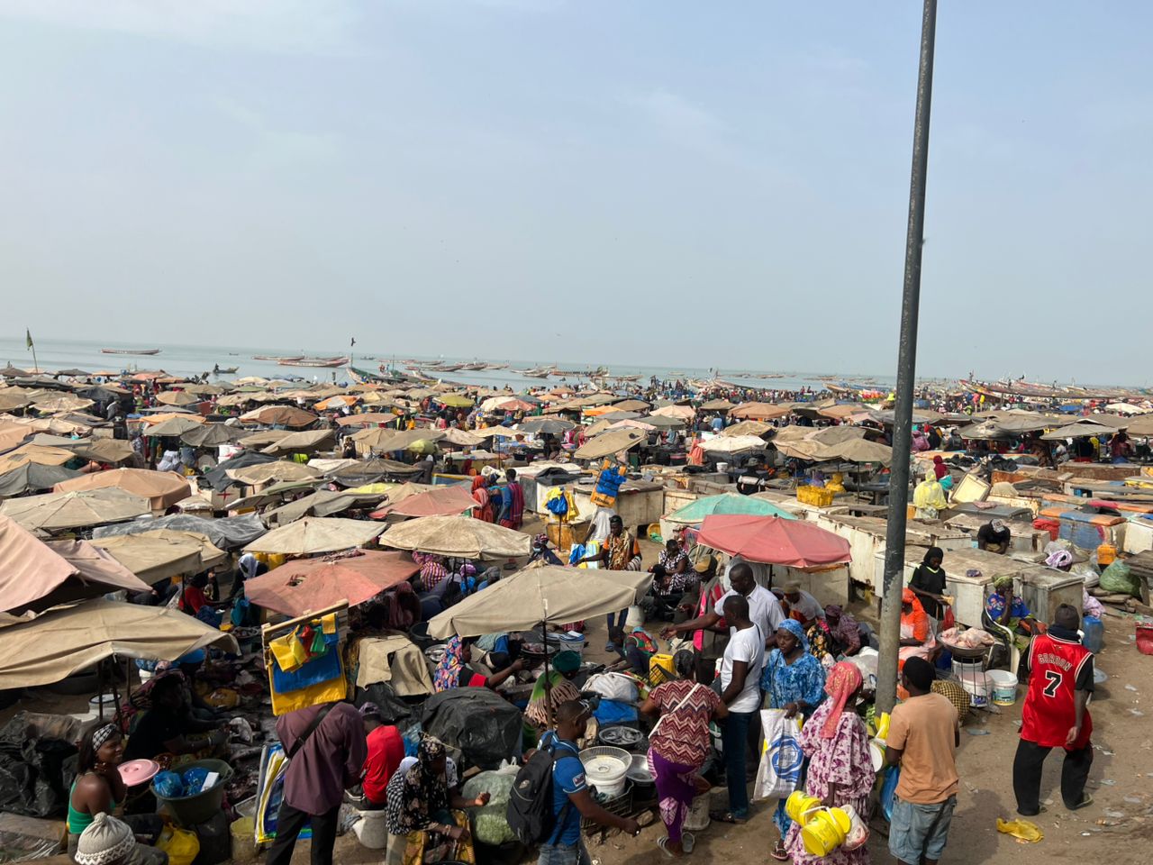 Comingback of the fisherman