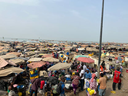 Comingback of the fisherman