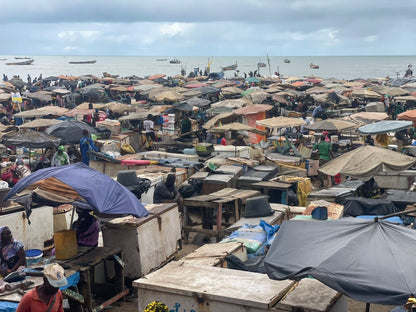 Comingback of the fisherman