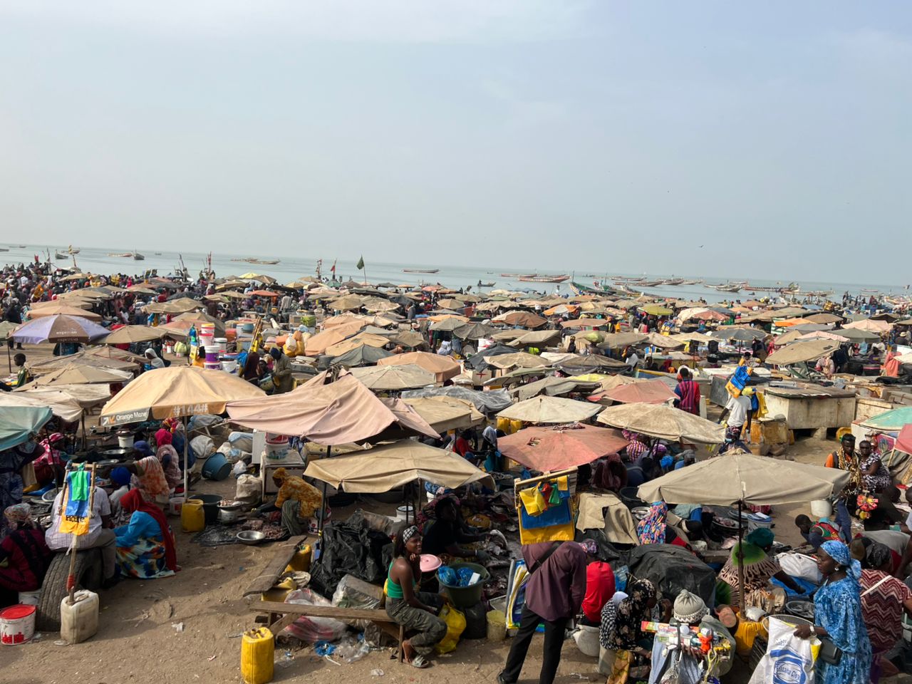 Comingback of the fisherman