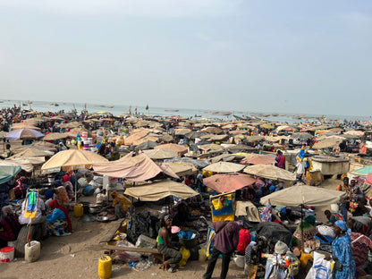 Comingback of the fisherman