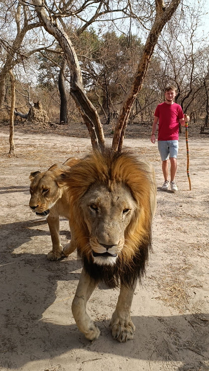 Reserva de vida silvestre de Fathala 